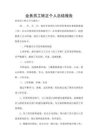 业务员工转正个人总结报告