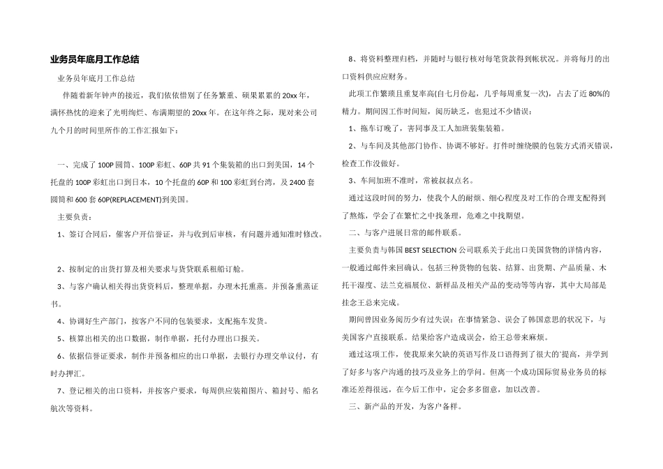 业务员年底月工作总结_第1页