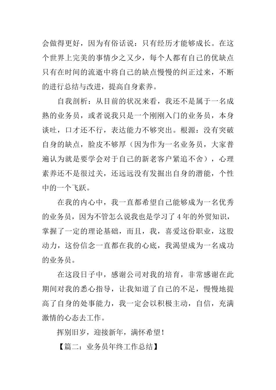 业务员年工作总结_第2页