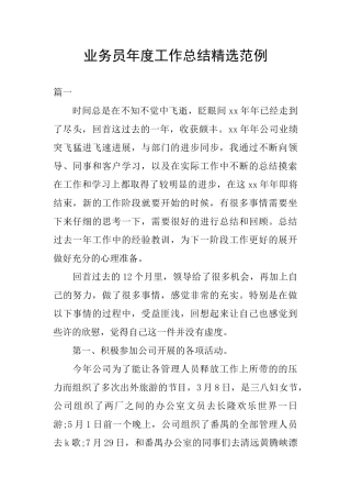 业务员年度工作总结精选范例