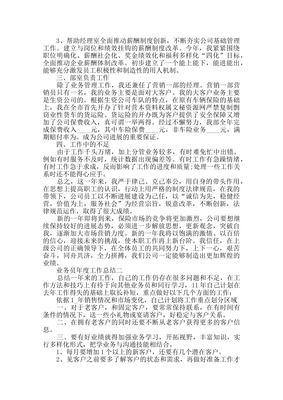 业务员年度工作总结范文_第2页