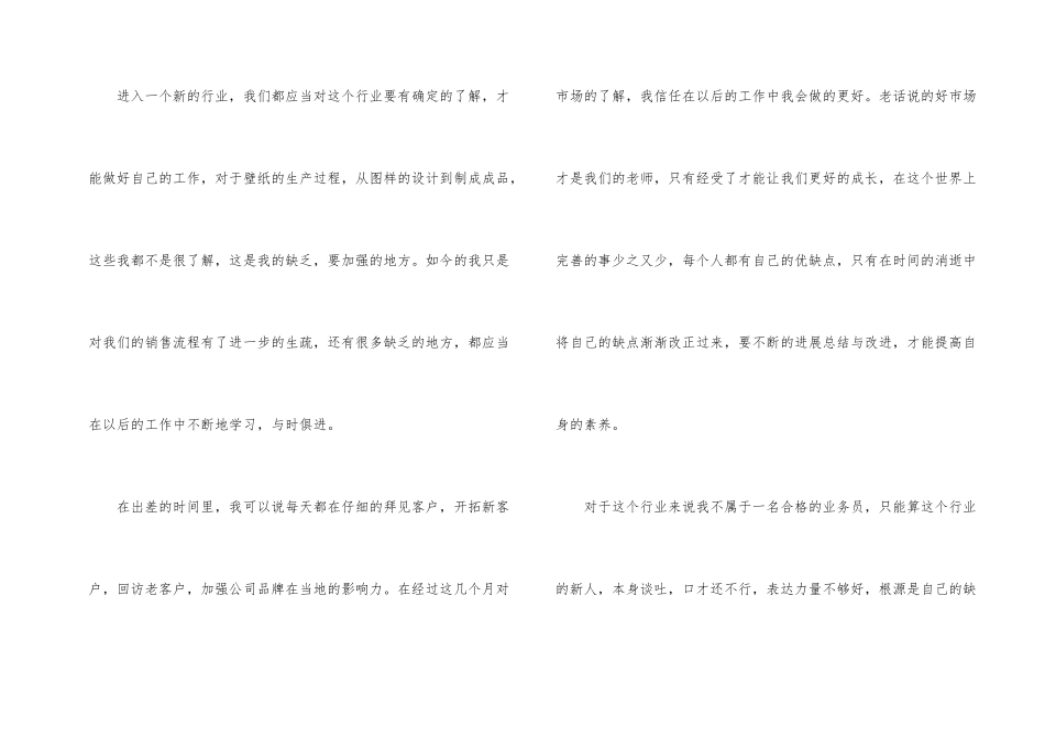 业务员年度总结三篇_第2页
