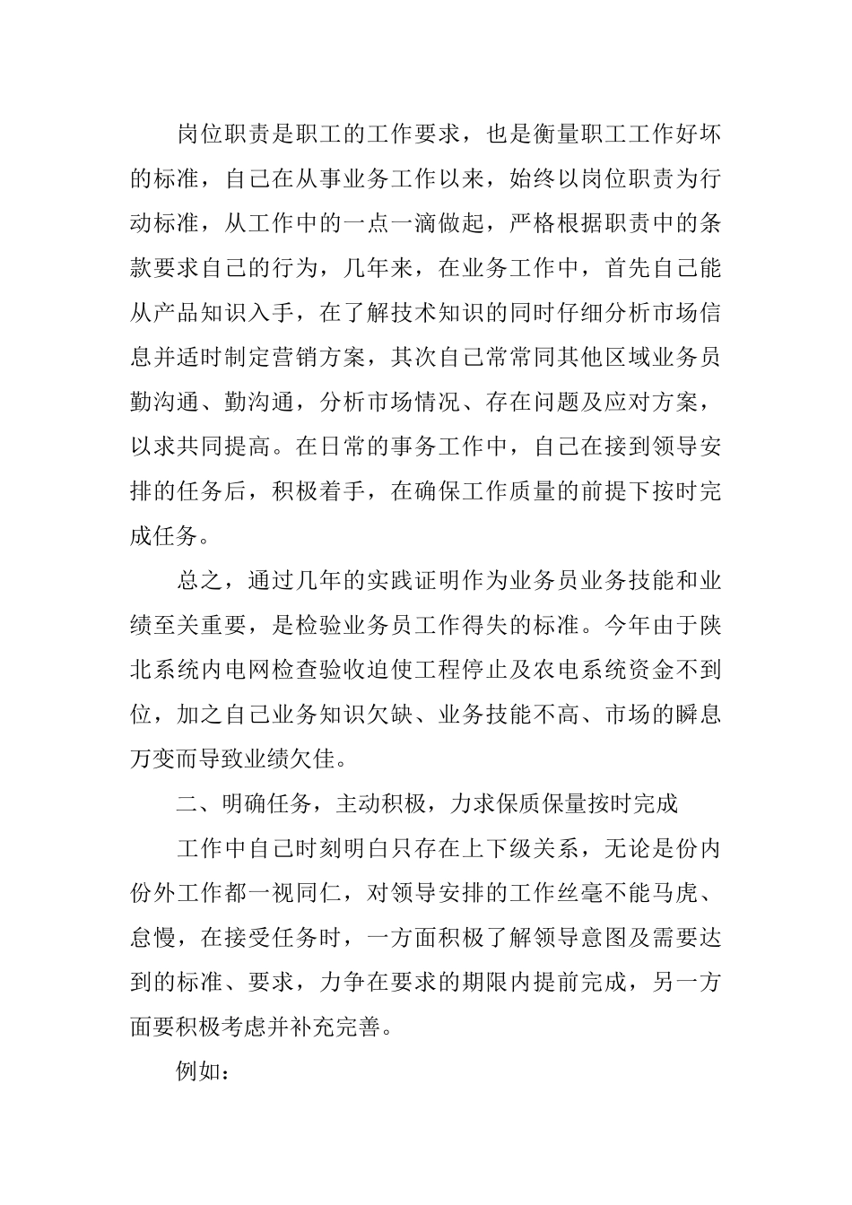 业务员年度总结计划_第2页