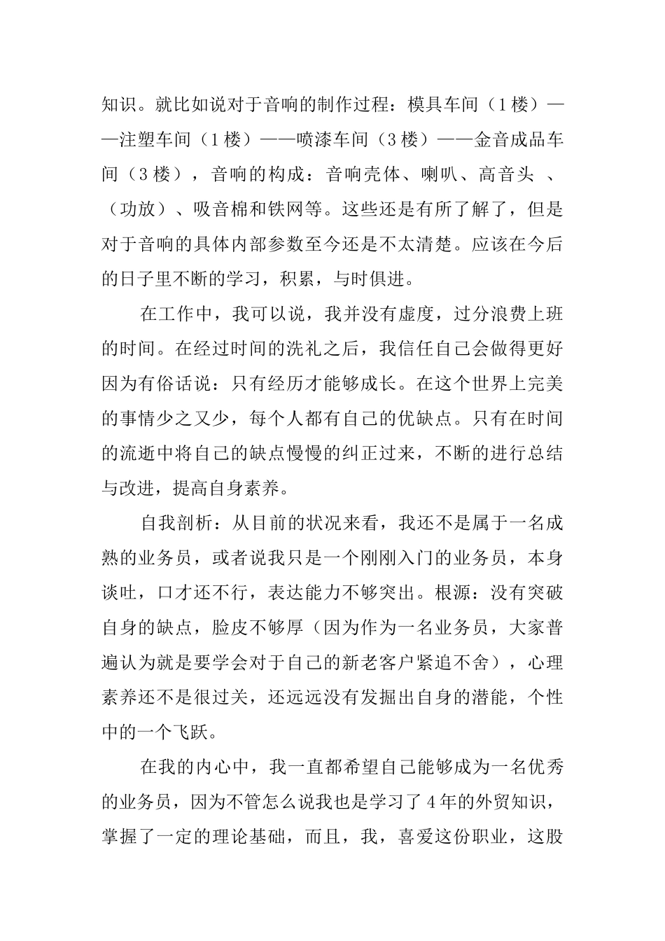 业务员年终工作总结_第2页