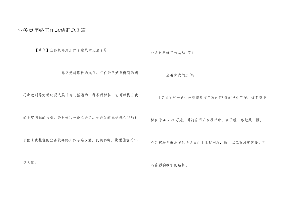 业务员年终工作总结汇总3篇_第1页