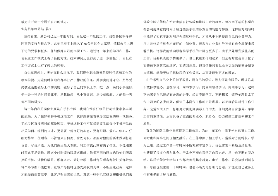 业务员年终总结4篇_第2页