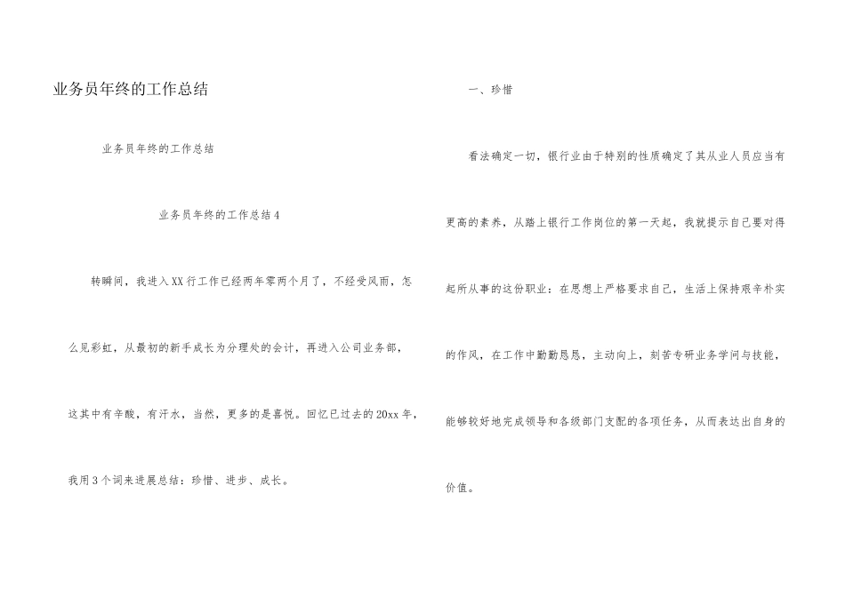 业务员年终的工作总结_第1页