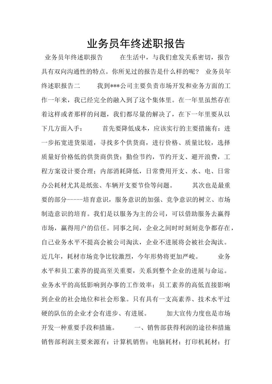 业务员年终述职报告_第1页