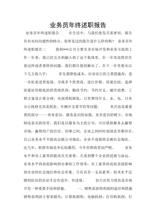 业务员年终述职报告