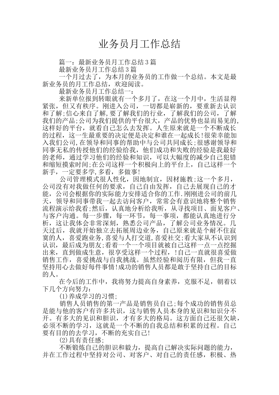 业务员月工作总结_第1页