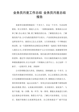 业务员月度工作总结