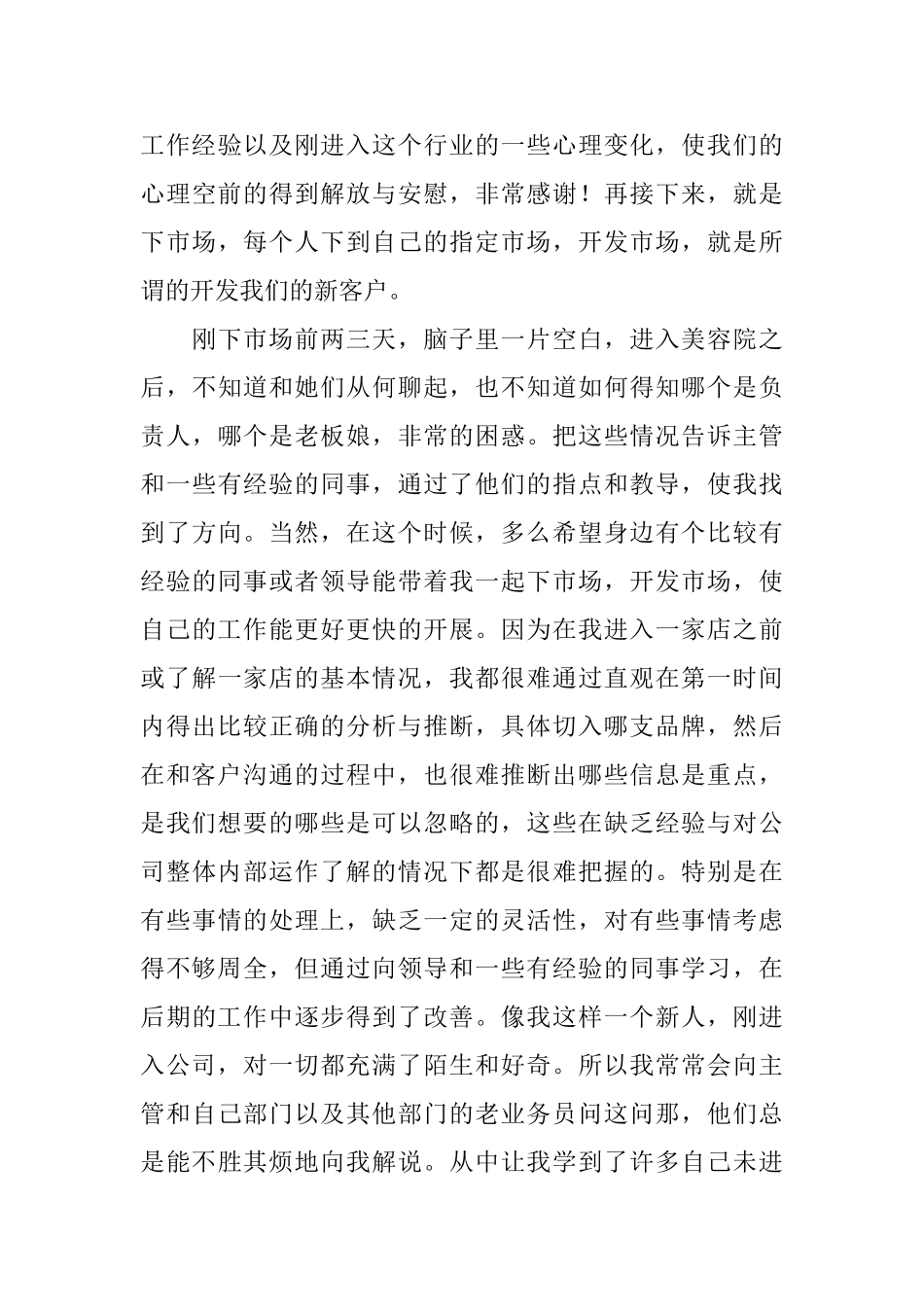 业务员的个人年终工作总结三篇_第3页