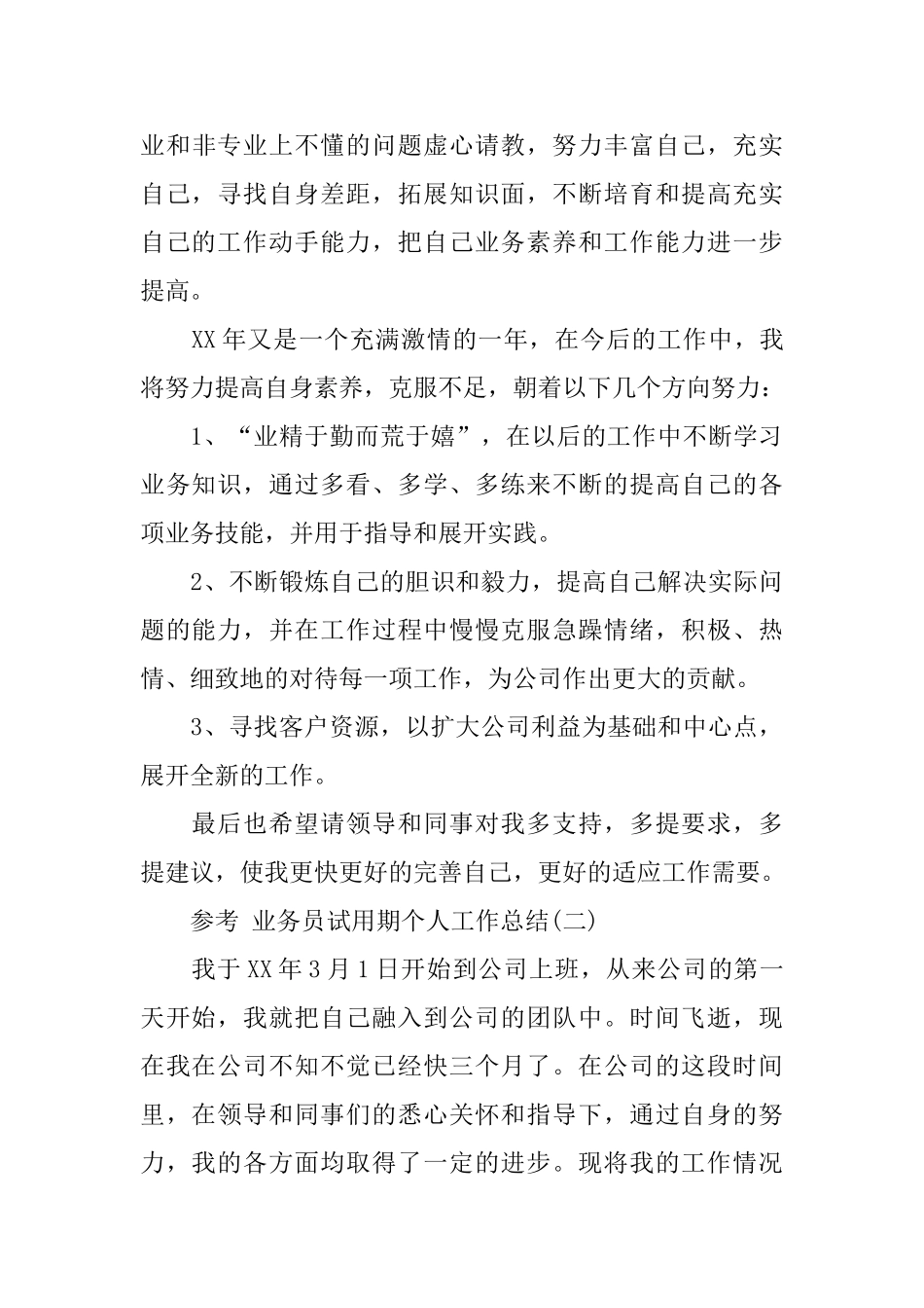 业务员试用期个人工作总结范文5篇_第3页