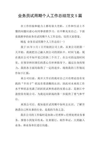 业务员试用期个人工作总结范文5篇