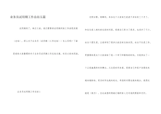 业务员试用期工作总结五篇