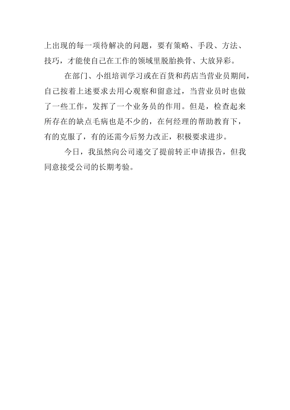 业务员转正申报范例_第3页