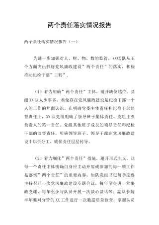两个责任落实情况报告