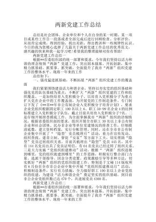 两新党建工作总结