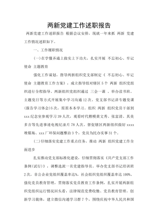 两新党建工作述职报告