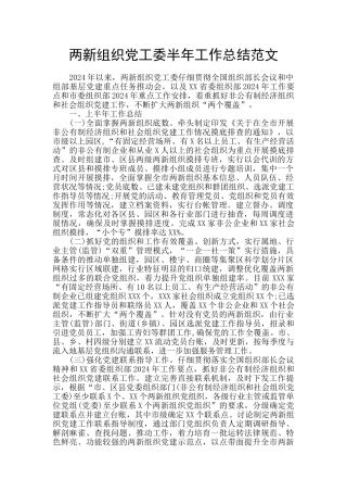 两新组织党工委半年工作总结范文