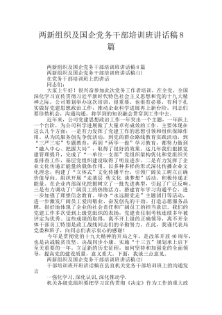 两新组织及国企党务干部培训班讲话稿8篇