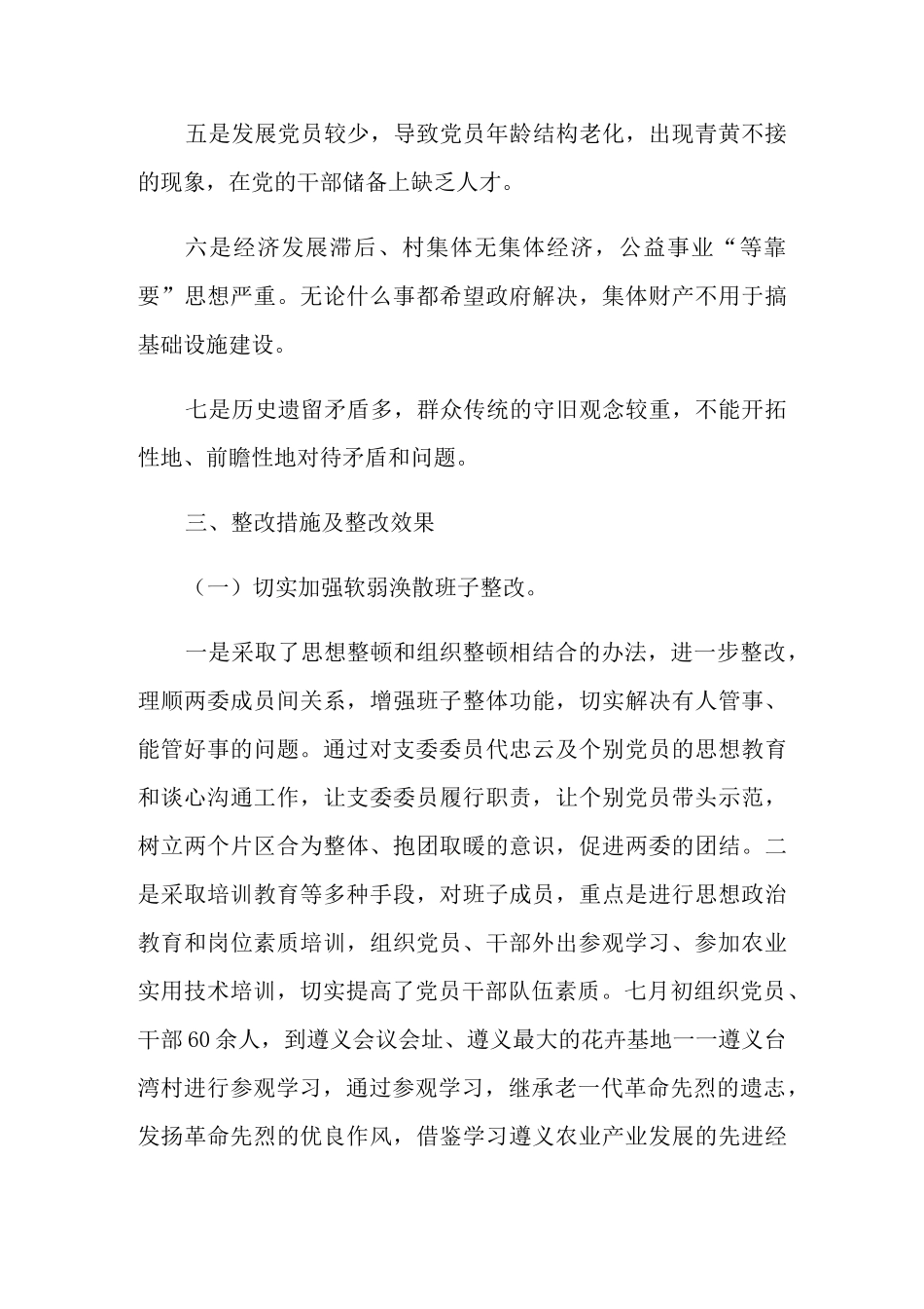 年驻村第一书记述职报告范文_第3页