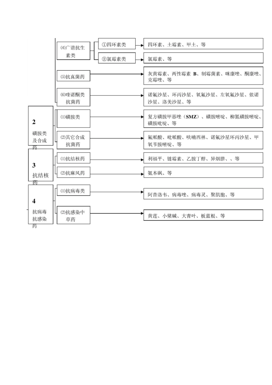 常用药品分类分支图(西药)_第2页