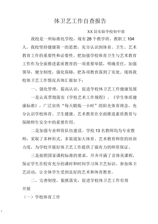 体卫艺工作情况汇报