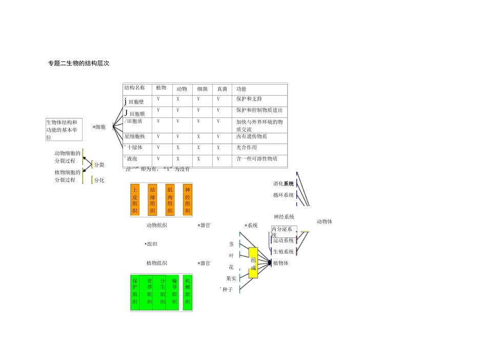 初中生物思维导图_第3页