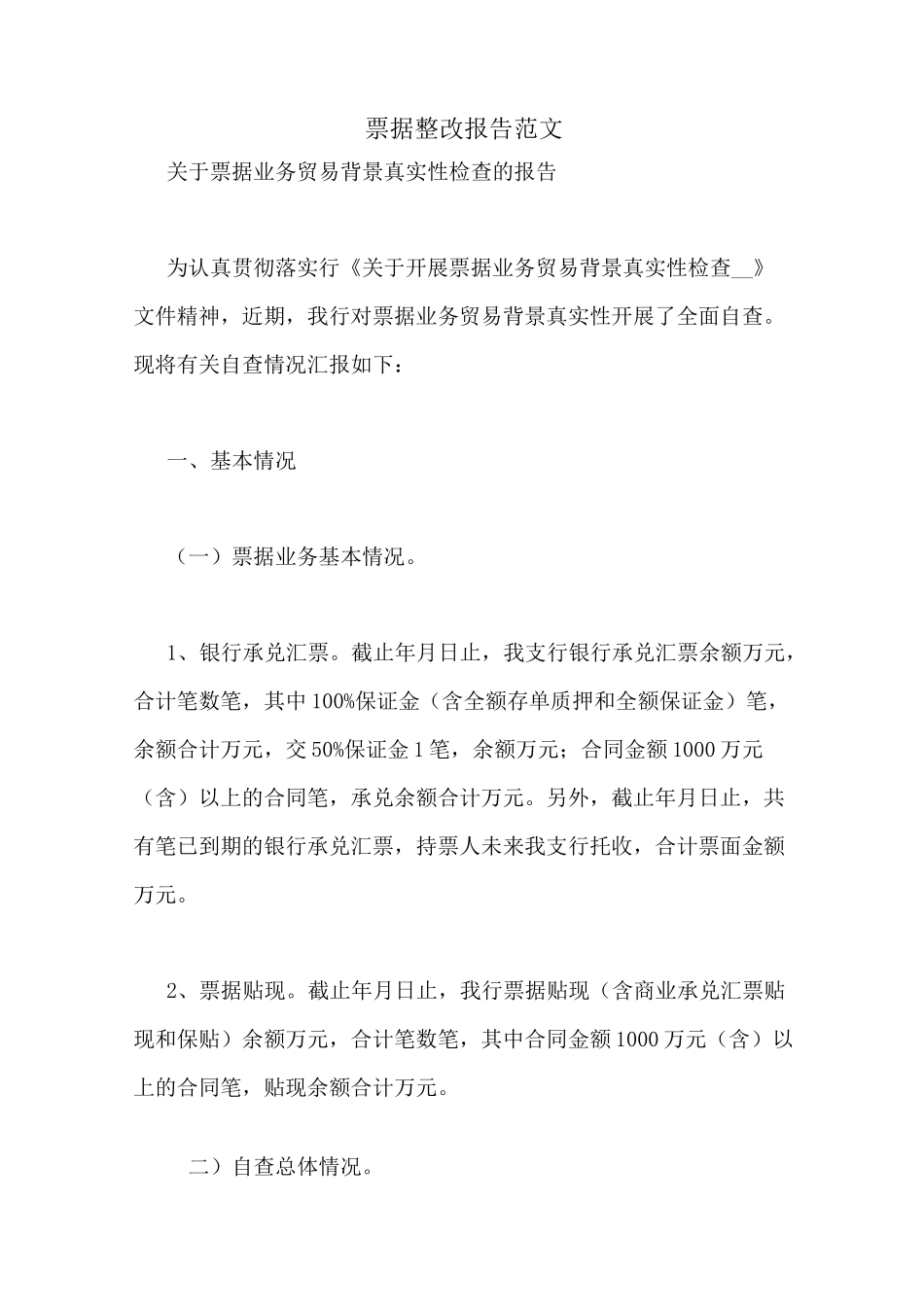 票据整改报告范文_第1页