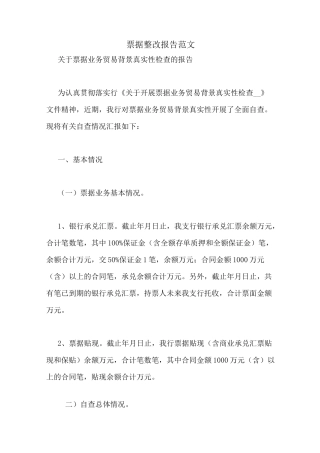 票据整改报告范文