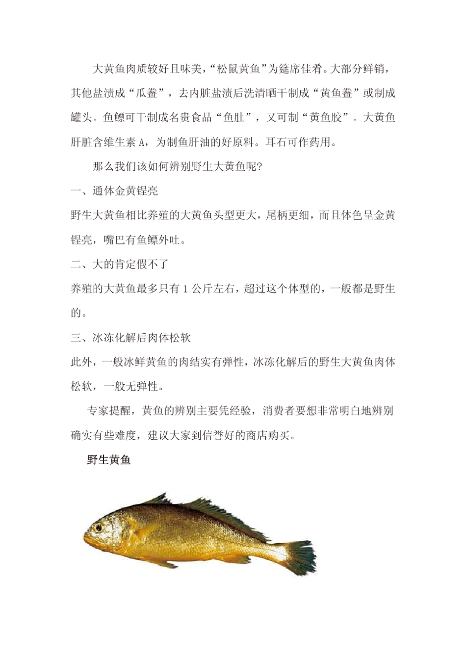 舟山海鲜攻略(鱼类图片、海鲜菜肴)_第2页