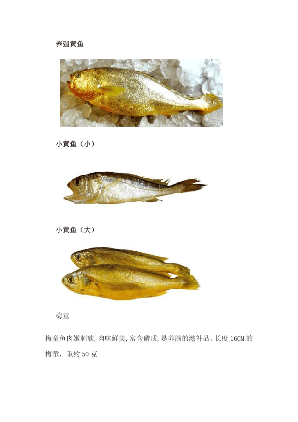 舟山海鲜攻略(鱼类图片、海鲜菜肴)_第3页