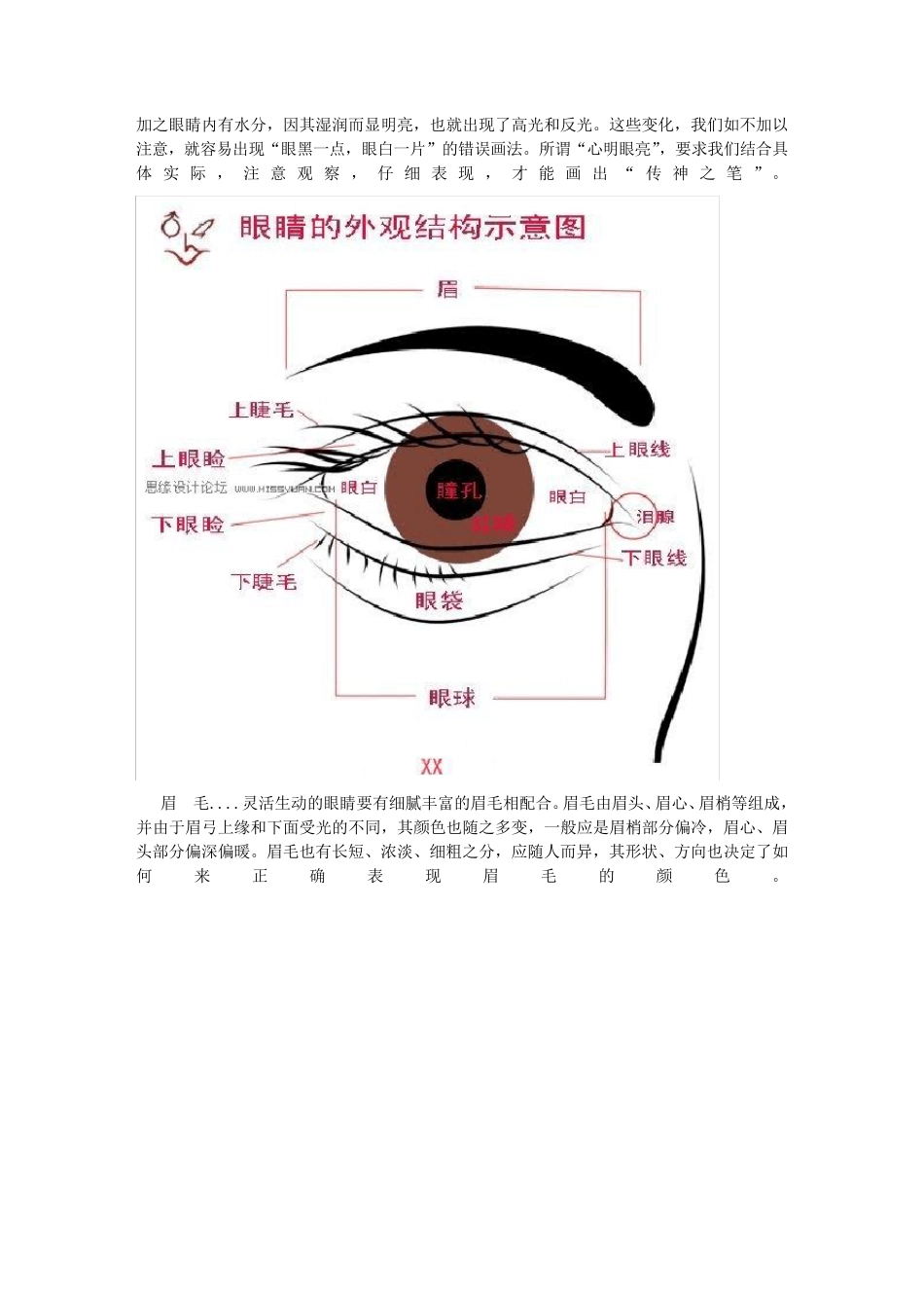 色彩人物头像必备知识_第2页