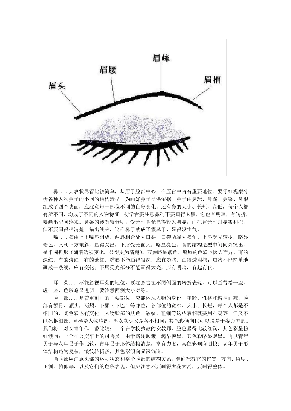 色彩人物头像必备知识_第3页