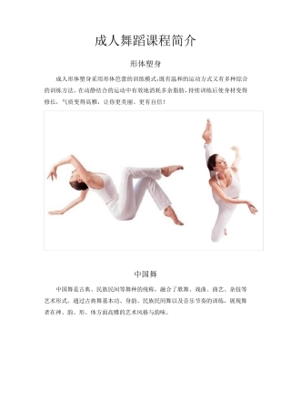 艺之梦成人舞蹈课程简介