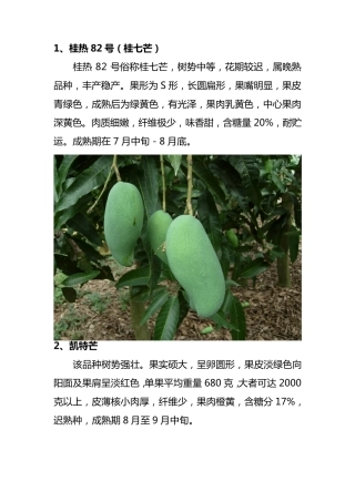 芒果品种介绍