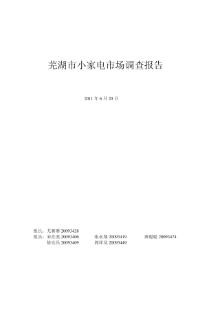 芜湖市小家电市场调查报告
