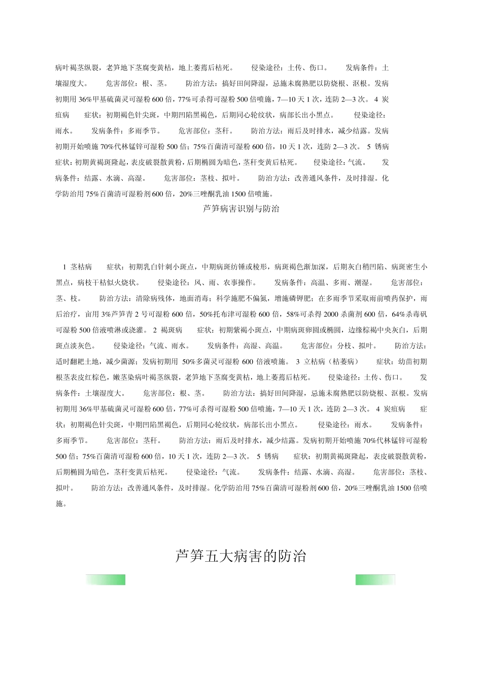 芦笋播种及播种后管理_第3页