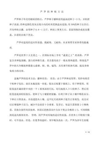 芦笋的种植方法