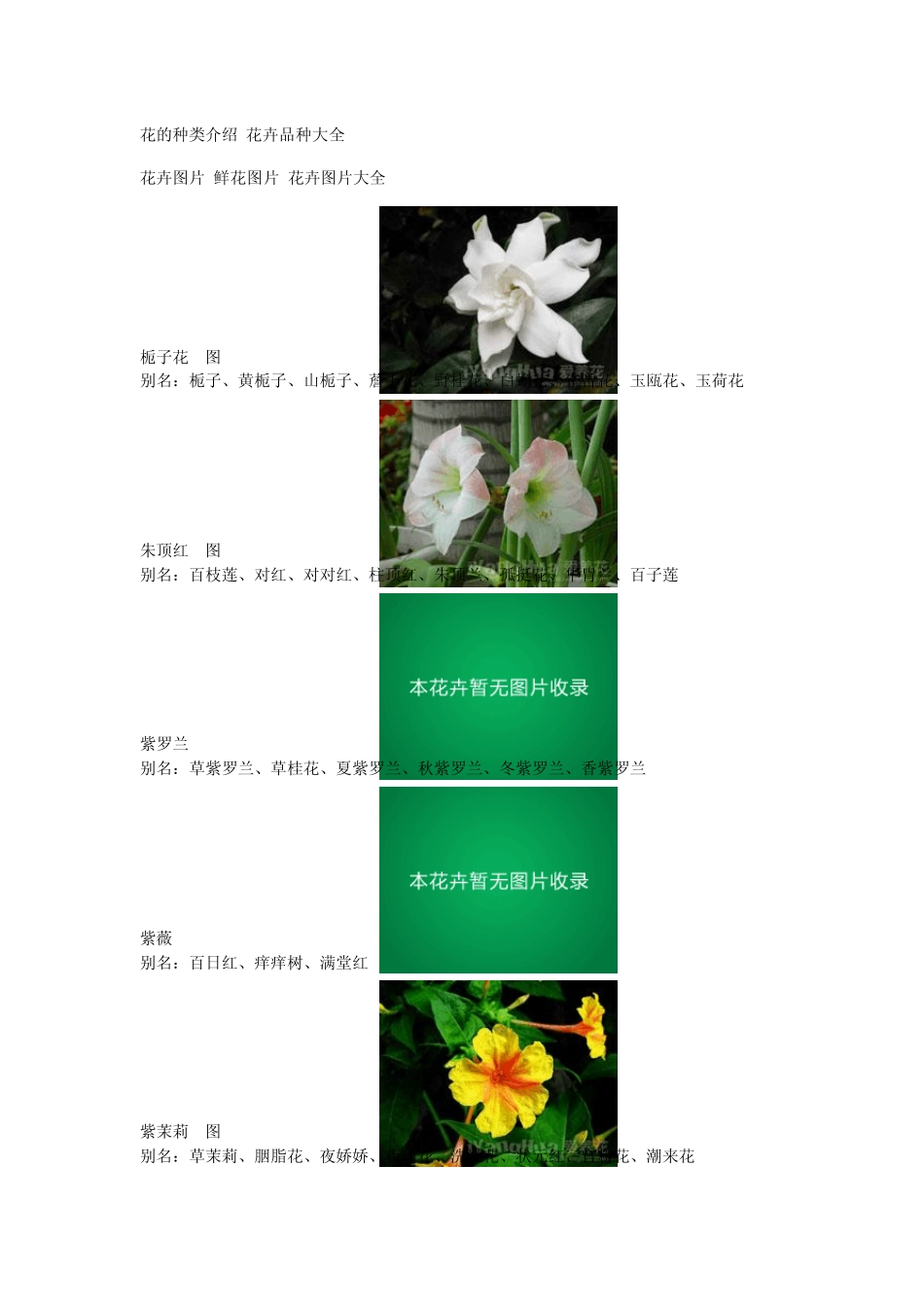 花卉介绍[附图]_第1页