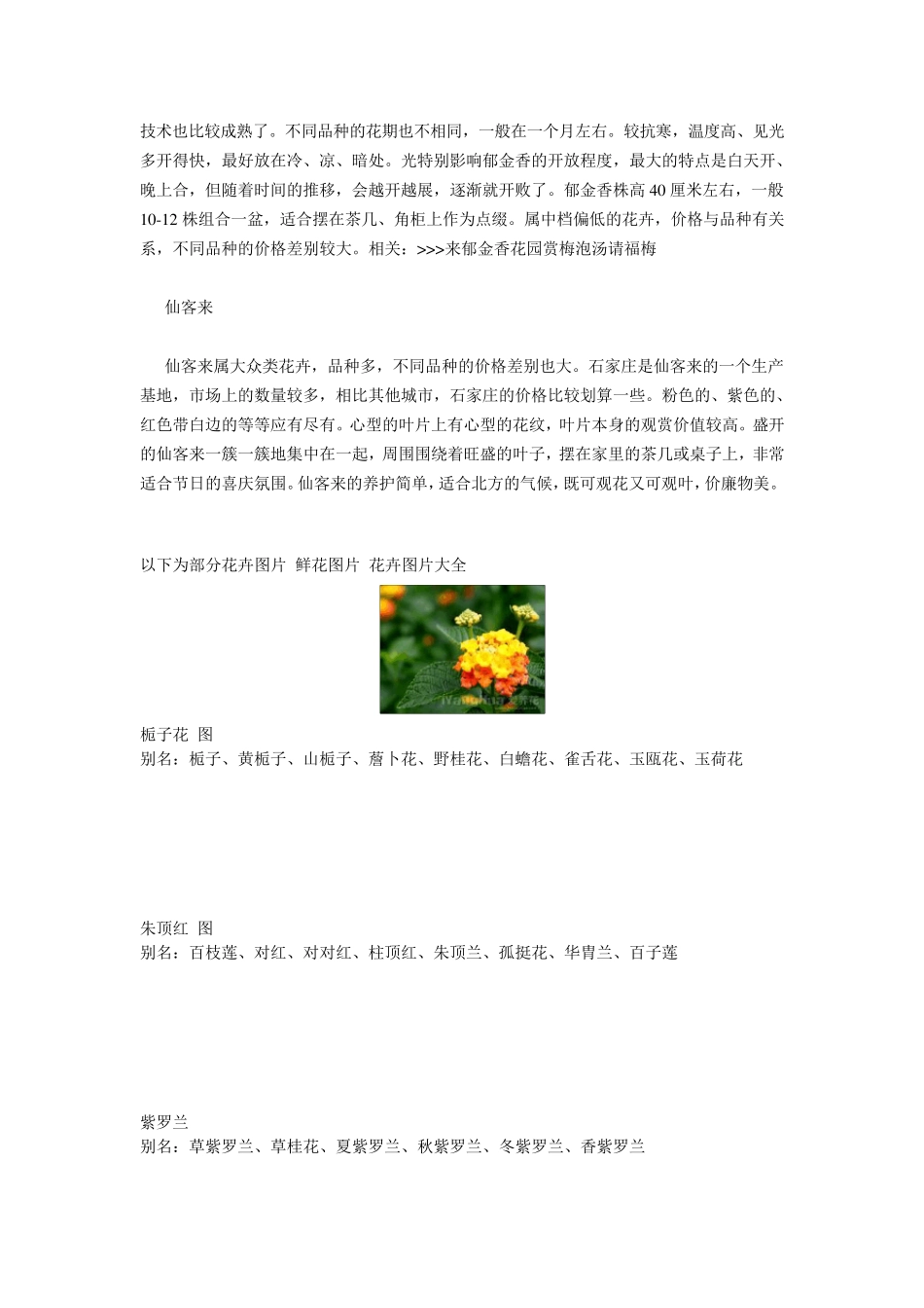 花卉品种大全鲜花图片花卉图片大全_第2页