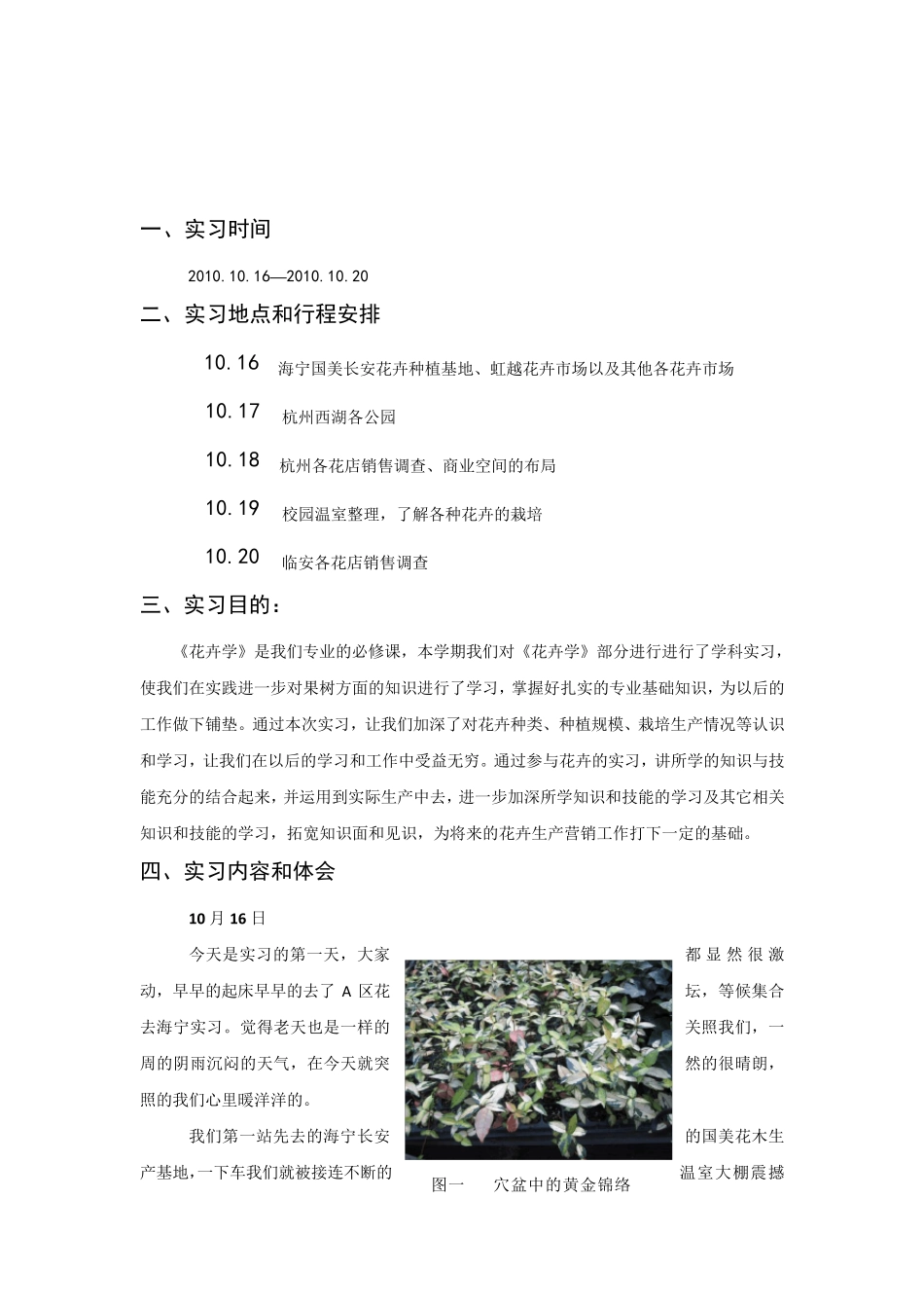 花卉学实习报告_第2页