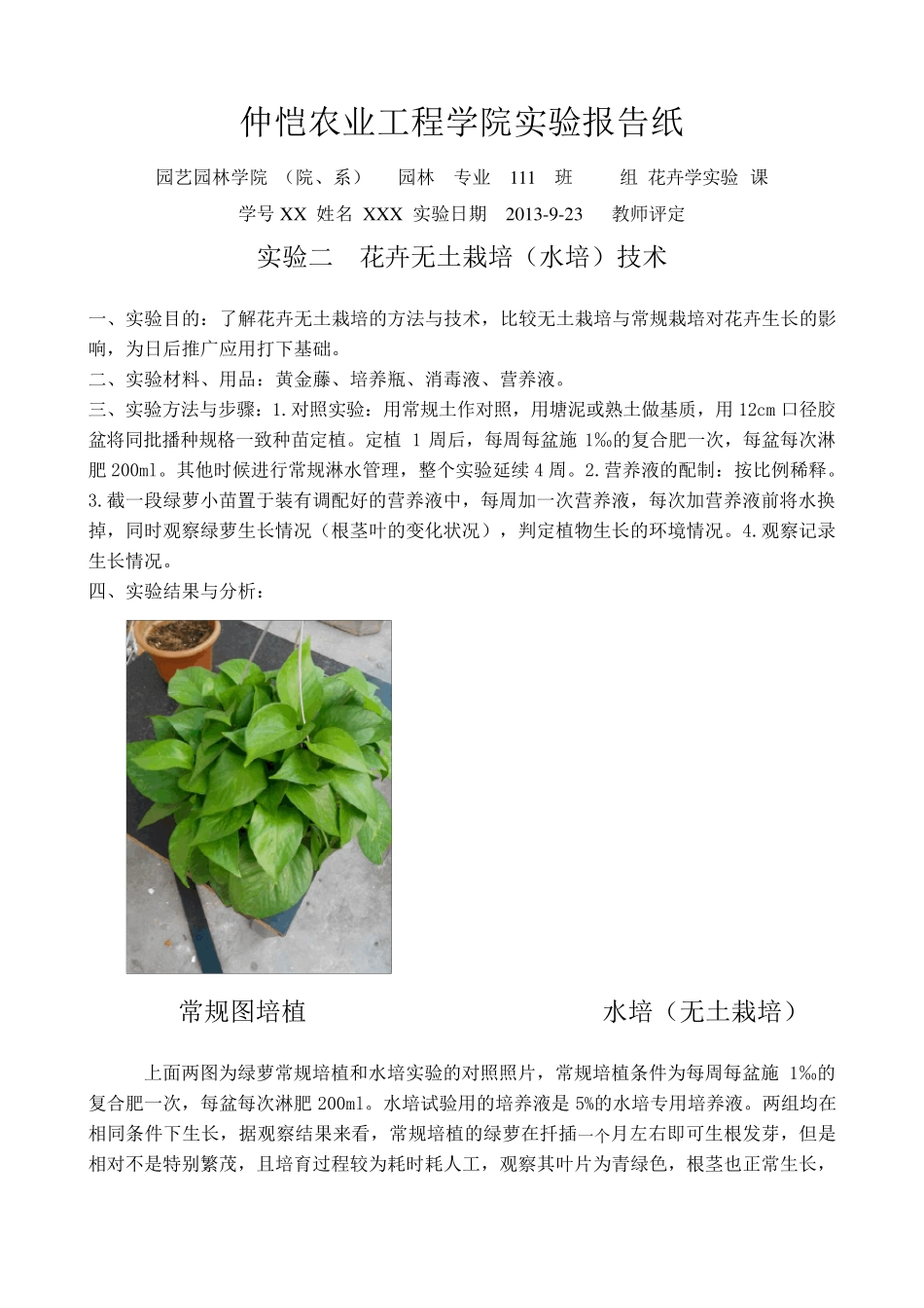 花卉学实验报告_第3页