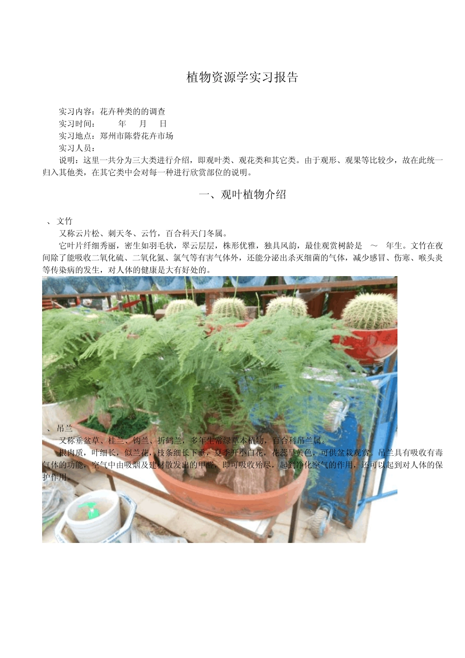 花卉市场的各种花卉认识_第1页