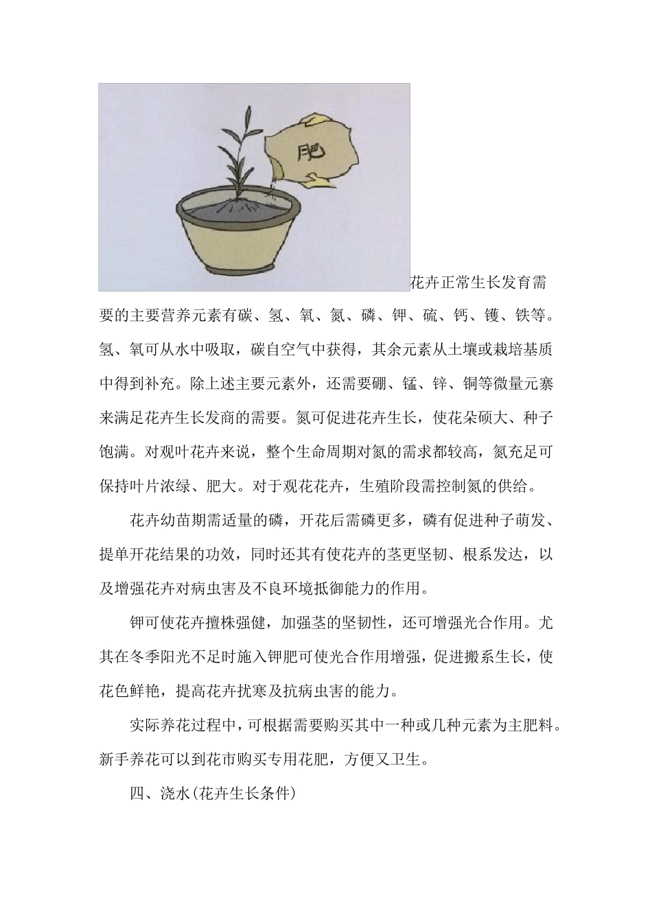 花卉生长条件：五方面,每方面都很重要_第3页