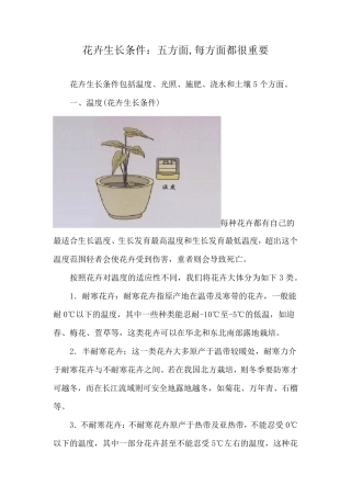 花卉生长条件：五方面,每方面都很重要