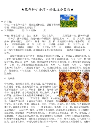 花卉种子介绍