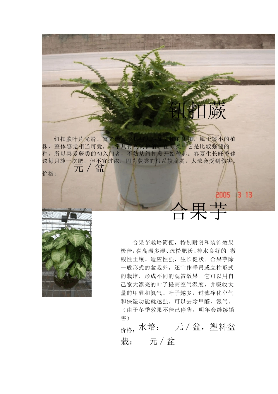 花卉销售及价格_第2页