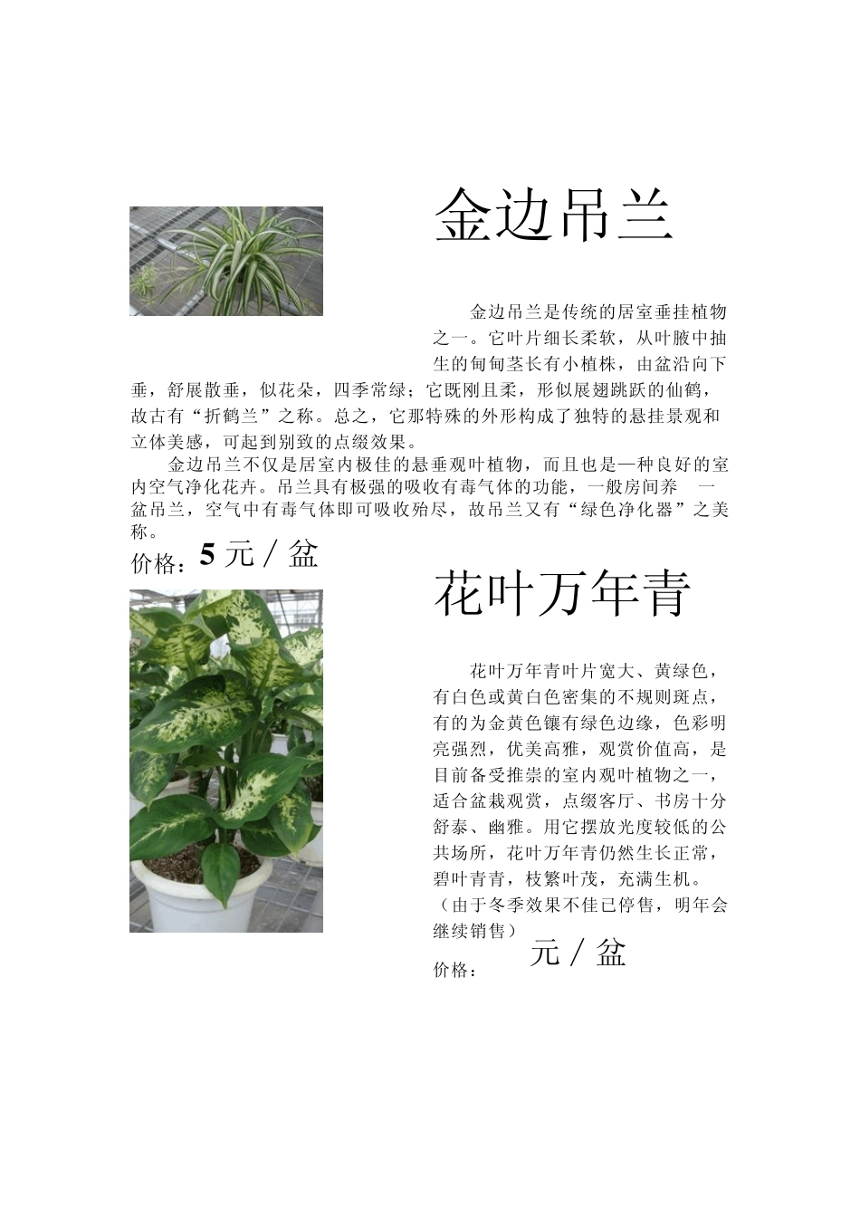 花卉销售及价格_第3页